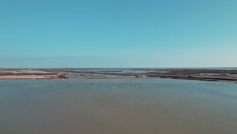 Vista-Aérea-De-Flamencos-Rosados-En-Los-Soleados-Humedales-De-Camarga