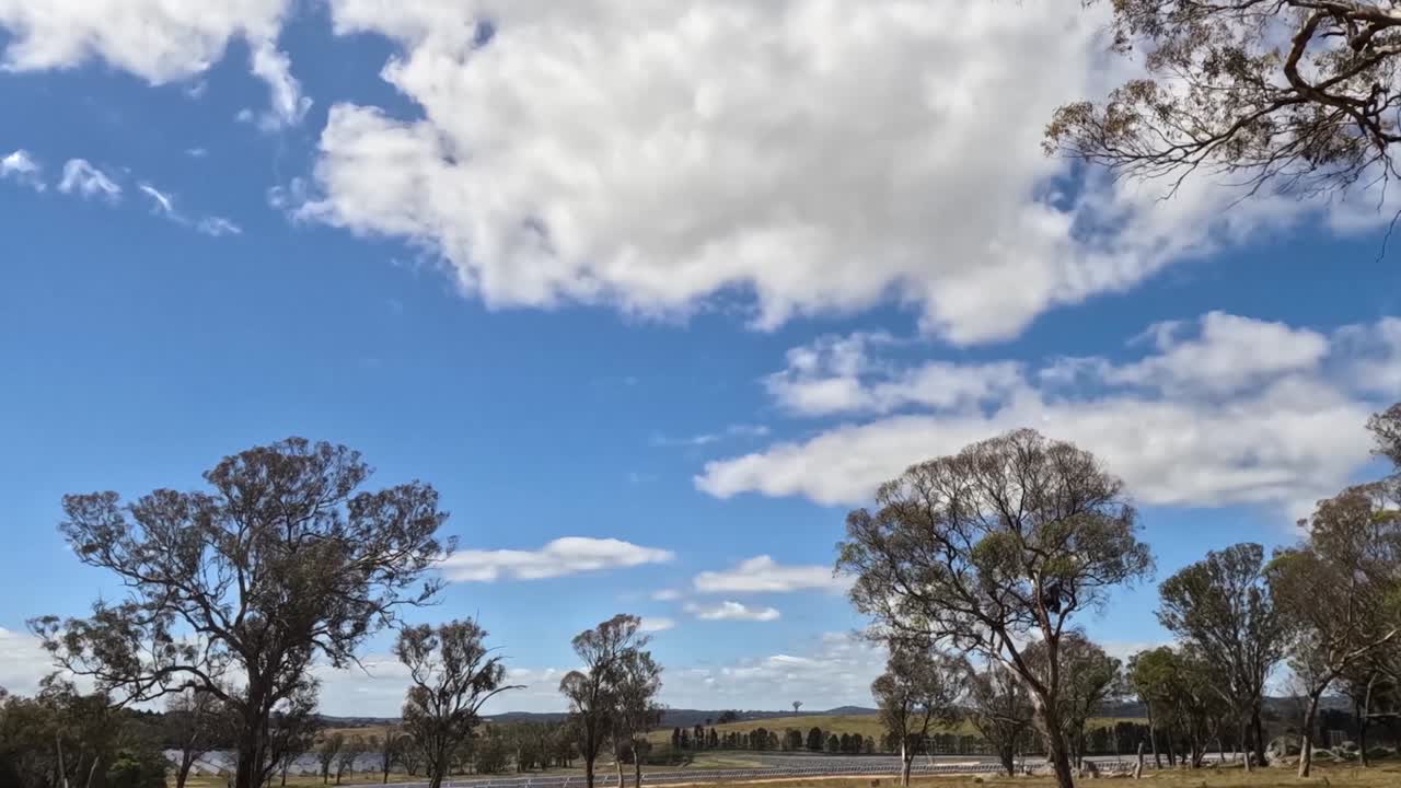 Time-lapse of fluffy clouds moving across a vibrant blue sky above silhouetted trees.