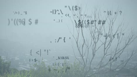 나무 들 이 있는 풍경 을 배경 으로 여러 가지 변화 하는 기호 들 의 디지털 구성