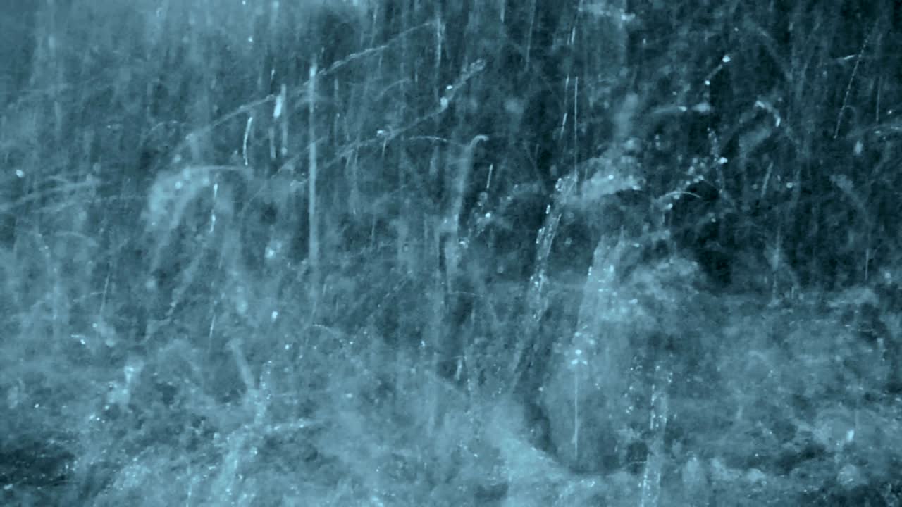 비가 오는 여름 날씨