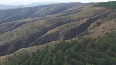 aerial view of terraced hills and forests