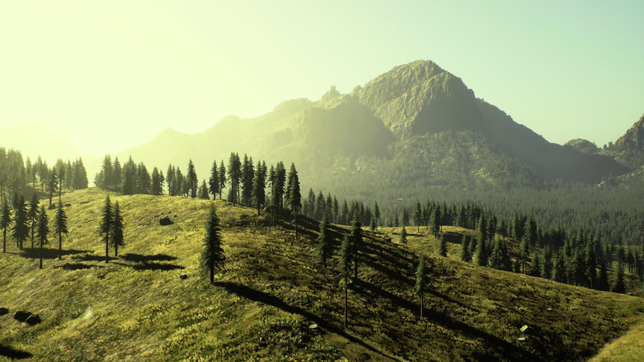 paisaje sereno con montañas y pinos durante la luz de la hora dorada