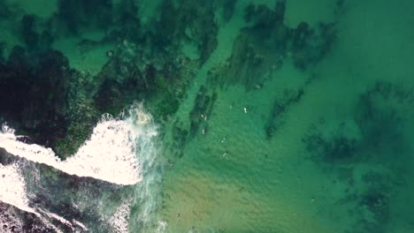 Drone-aerial-pan-footage-of-surfers-on-scenic-reef-and-sandy-Shelly-Beach-crystal-clear-Pacific-Ocean-Central-Coast-NSW-Australia-3840x2160-4K