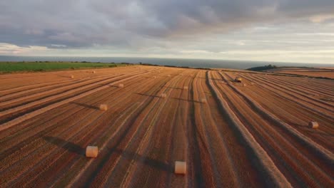 drone footage of golden fields