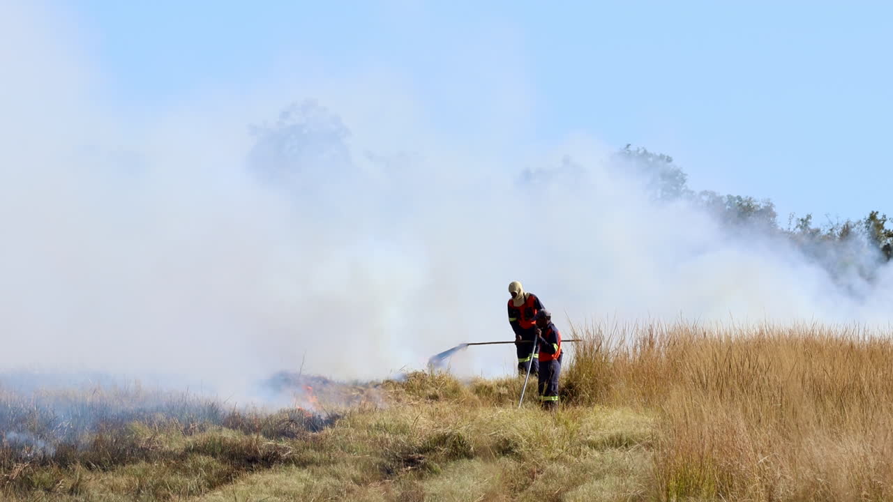 Farm workers on fireline use flappers to control fire spread in field, zoom out