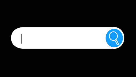 search bar interface element