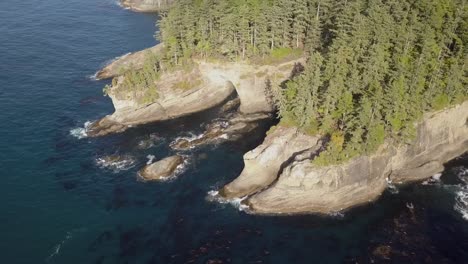 cape flattery in late afternoon