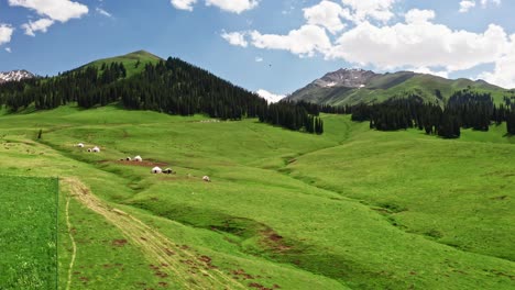 nalati grassland and mountains in a fine day.