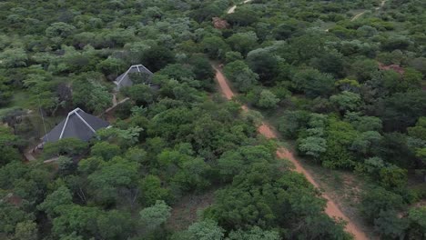 aerial drone shot ascending above the treetops in the african bushveld to reveal the location of 3 luxury safari chalets nestled in between the trees, south africa