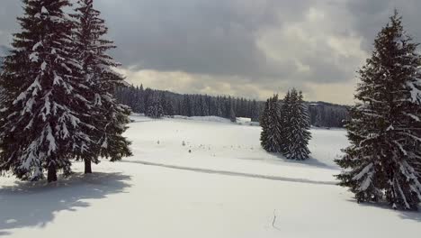 Un-Pintoresco-Resort-De-Montaña-Rodeado-Por-Una-Gruesa-Capa-Blanca-De-Nieve-Con-Abetos-Y-Espesas-Nubes-En-El-Fondo,-Ubicado-En-Poiana-Brasov,-Rumania