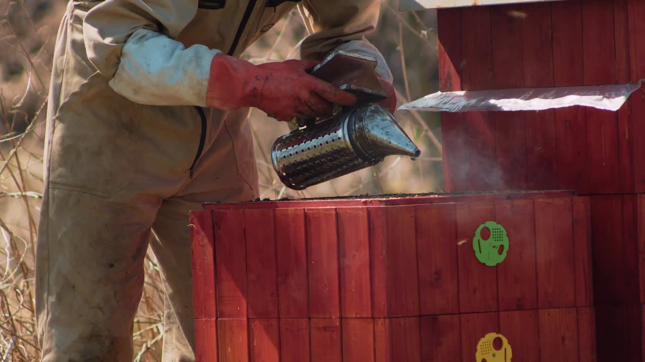 apicultor joven en un traje protector sopla humo en una colmena