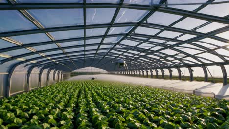 drone monitoring and irrigation in a greenhouse