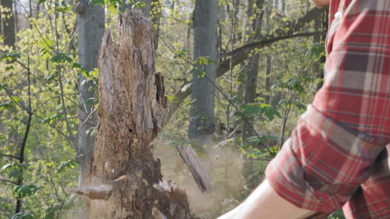 potente primer plano de un hombre caucásico cortando un árbol