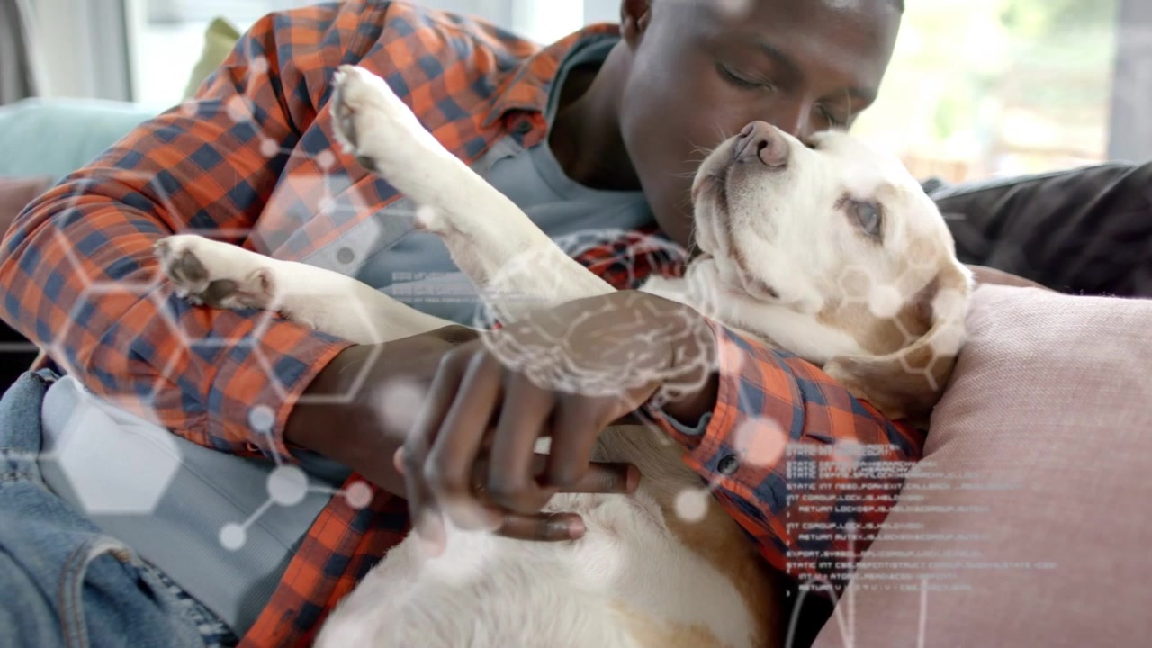 Homem segurando cachorro, inclinando-se e acariciando a barriga enquanto um código digital se sobrepõe, auxiliando a saúde do animal de estimação