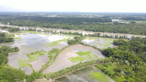 flooded agricultural land beside overflowing river in bangladesh