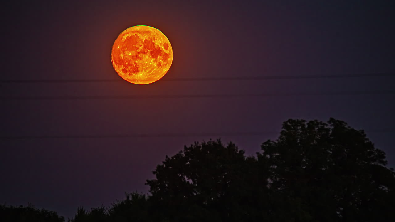 A árvore era visível enquanto uma lua carmesim nascia do solo para o céu.