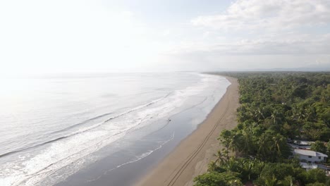 the long, sandy coastline of damas island on the west coast of costa rica