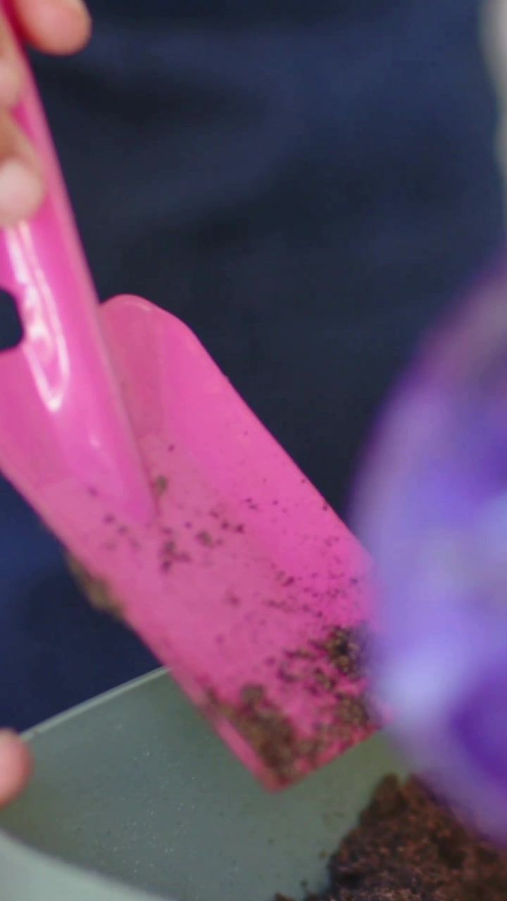 Video verticale: Afferra una cazzuola rosa mentre viene inserita, mani che compattano il terreno sul tavolo fissando il germoglio.