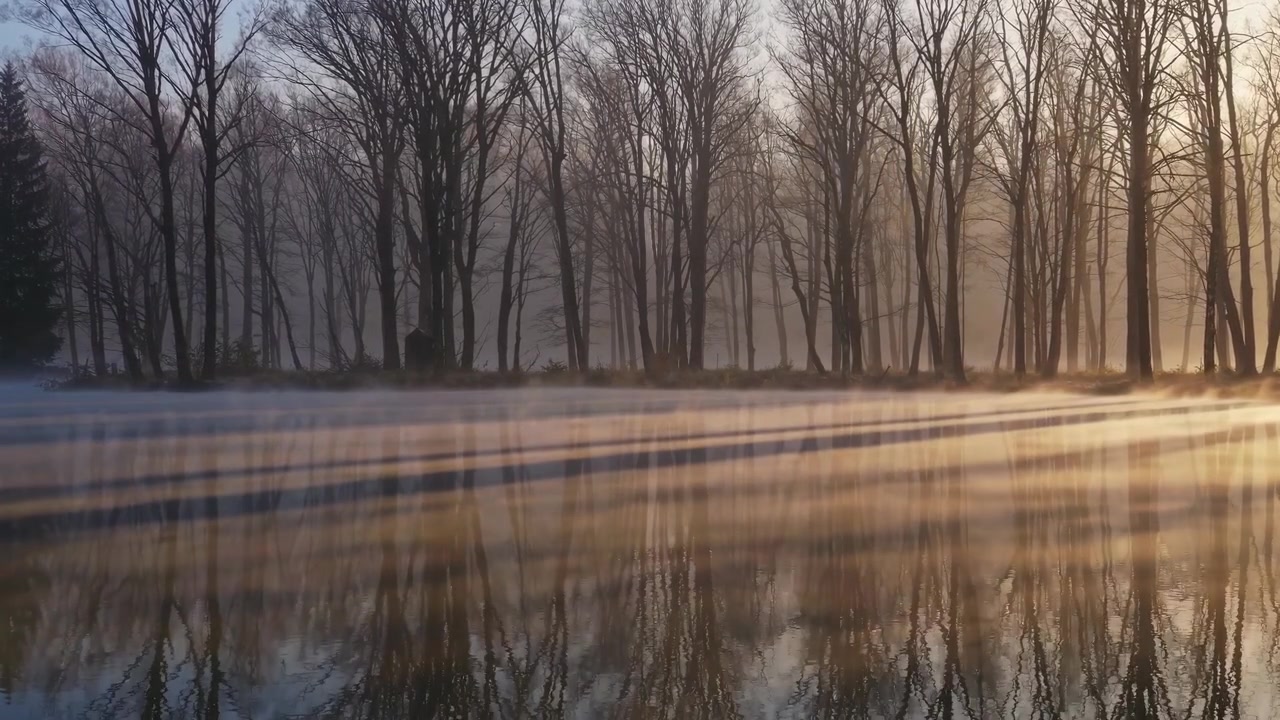 Golden Sun Rays Shine Through Mist Over a Calm Lake with Forest Reflections