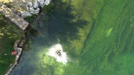 a man jumps into the river. drone shot