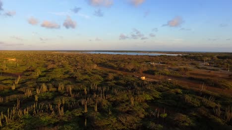 Los-Manglares-De-La-Bahía-Lac-Durante-La-Puesta-De-Sol-En-Bonaire