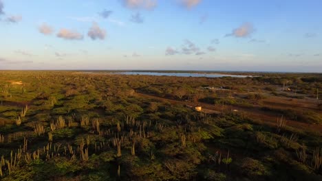 los manglares de la bahía lac durante la puesta de sol en bonaire