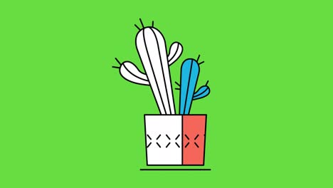 video en 4k de un cactus de dibujos animados sobre un fondo verde.