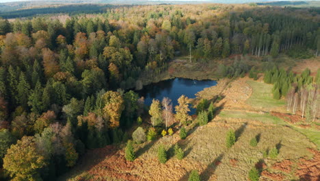 Pequeño-Estanque-Junto-Al-Bosque-De-Otoño-Dentro-De-La-Fagne-Du-Rouge-Ponce-En-Saint-Hubert,-Bélgica