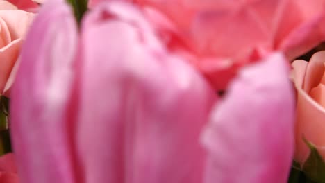 beautiful pink roses and tulips