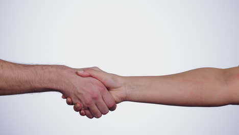 Handshake, partnership and agreement