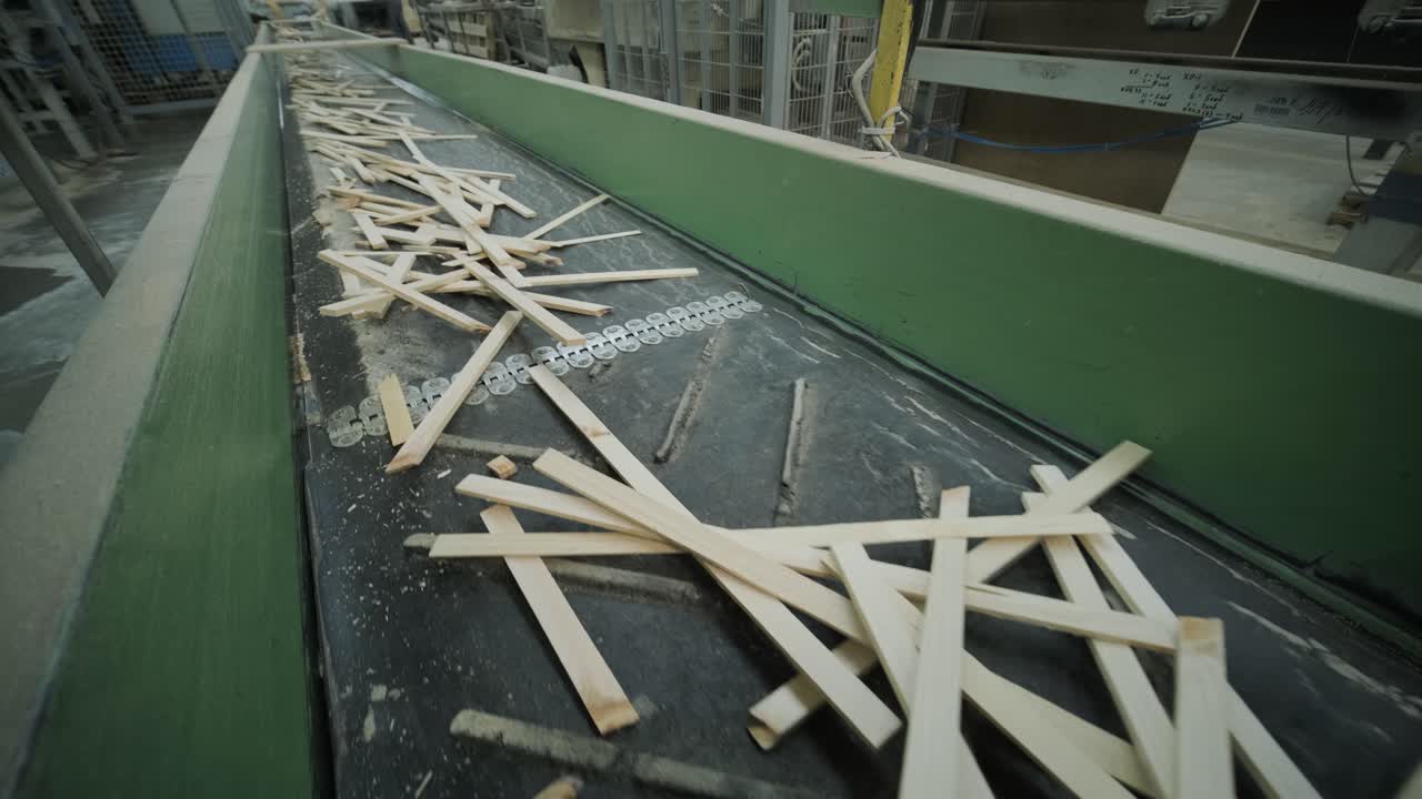 Wood Pieces Moving on an Industrial Conveyor Belt