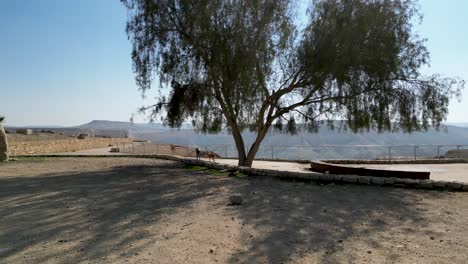 4K-Drohnenvideo-Mit-Hoher-Auflösung-Von-Ben-Gurion,-Tomb-National-Park,-Midreshet-Ben-Gurion,-Midreshet-Sde-Boker-Bengurion,-Grabstätte-Im-Süden-Israels