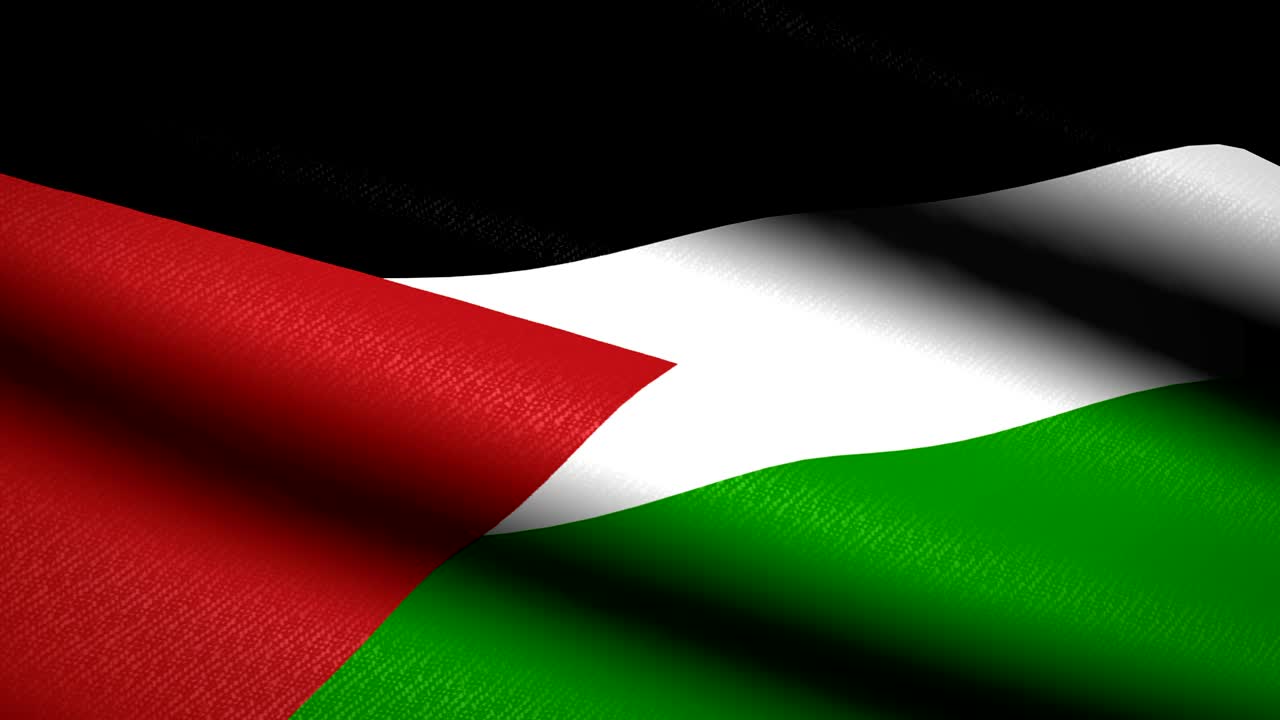 팔레스타인 발을 흔들고 있는 직물 텍스처 된 배경. 시엄리스 루프 애니메이션. 풀 스크린. 슬로 모션. 4k 비디오.