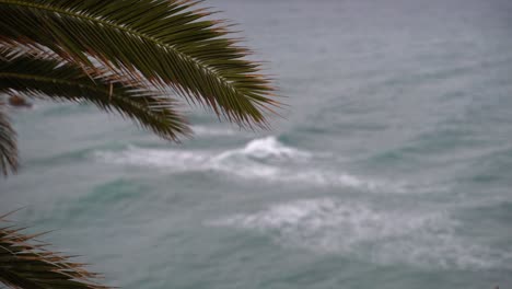 Vista-Abstracta-De-Hojas-De-Palmera-Contra-El-Cielo-Con-Olas-En-Cámara-Lenta