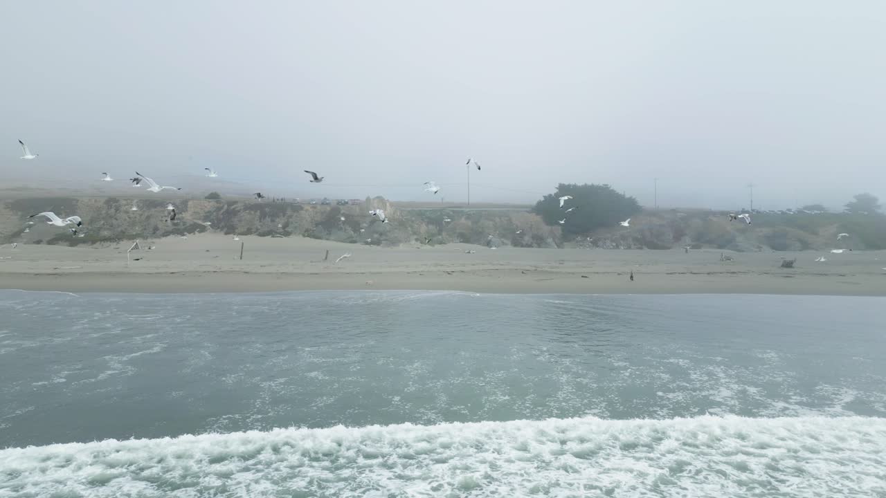 흐린 날 소노마 해안 보데가 베이, 캘리포니아