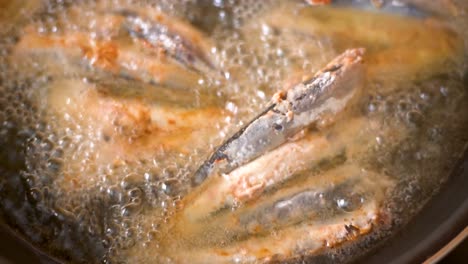 frying sardines in a pan