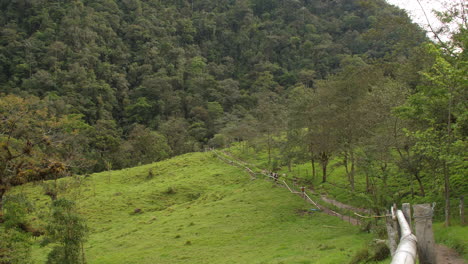 tourists hiking through valley with jungle in the distance cocora valley colombia