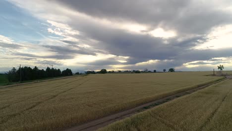 Una-Panorámica-Lateral-De-Un-Campo-De-Trigo-De-Invierno-Con-Un-Cielo-Espectacular