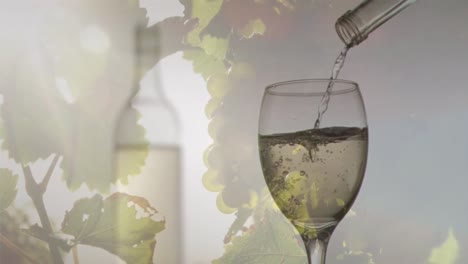 animación de vino blanco vertiendo en vaso en el fondo con uvas