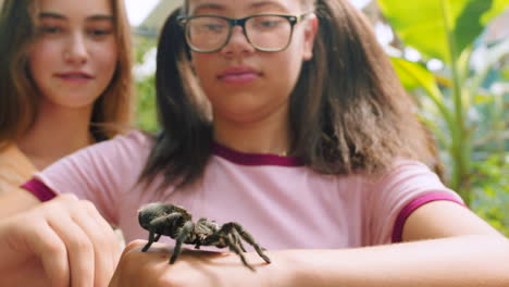 spider, friends and phone with girl in zoo