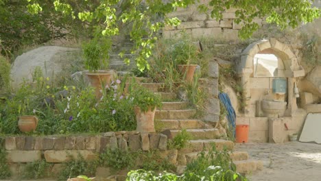 Small-dog-walks-shaded-stone-rustic-courtyard-scene-barking