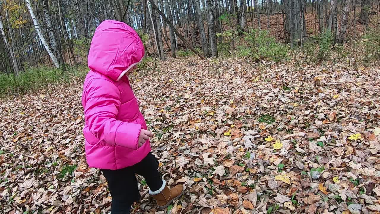 분홍색 후드 재을 입은 작은 소녀가 가을 날 잎을 통해 서서히 움직이기 시작합니다.