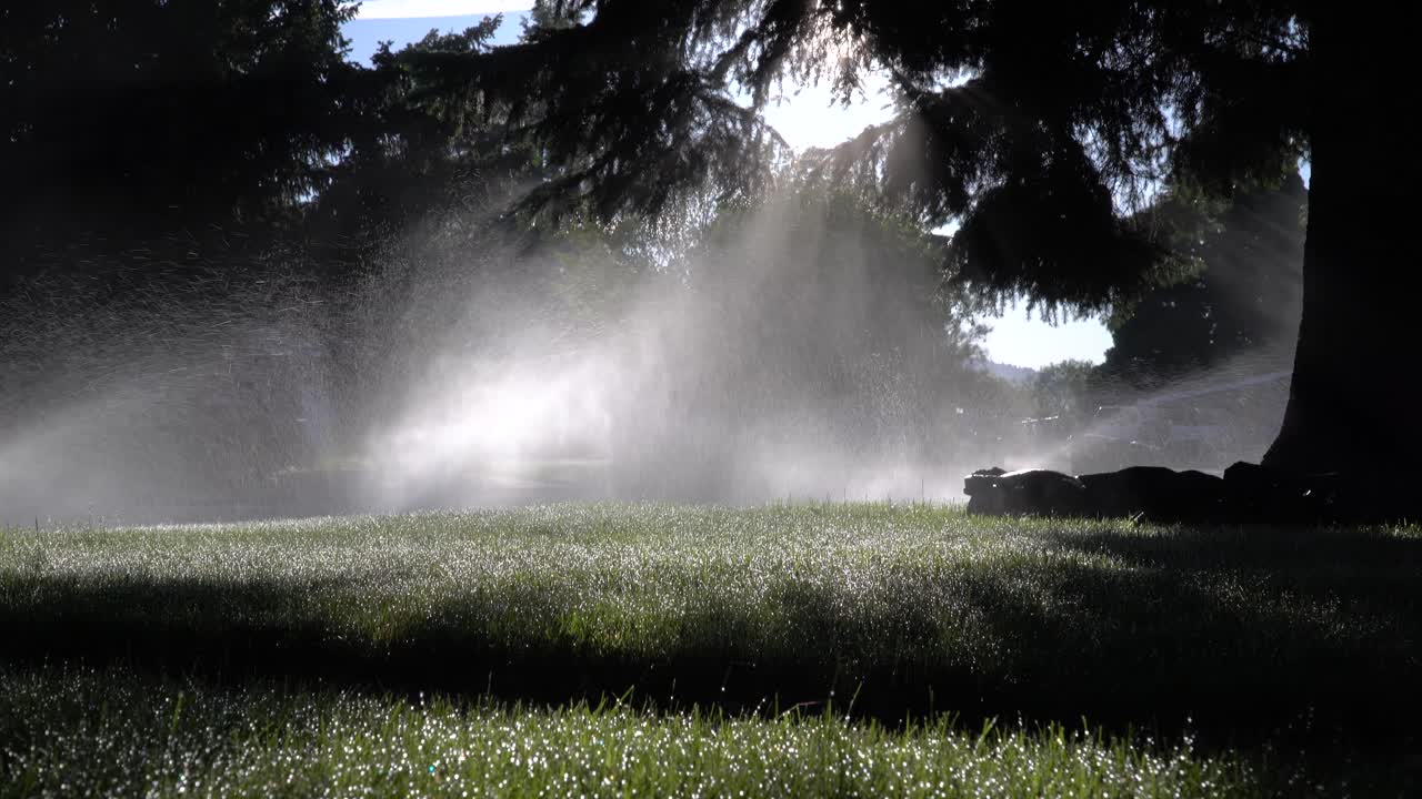 Alba attraverso gli irrigatori in periferia - inquadratura inclinata.