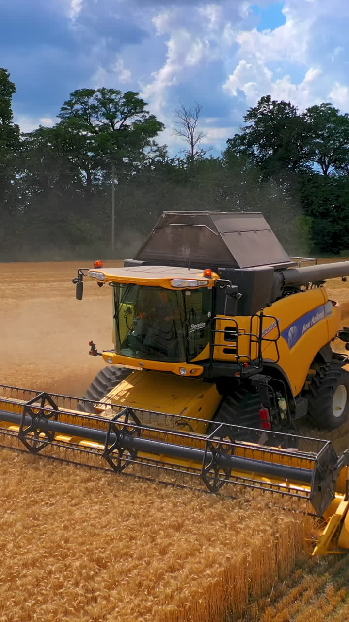 Combine harvester in action on the field. Combine harvester. Harvesting machine for harvesting a wheat field. Vertical video