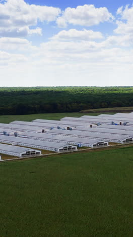 aerial view of industrial poultry house in the country. modern factory exterior. vertical video