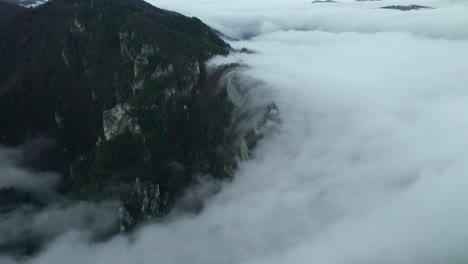 drone aerial, misty forest autumn after rain, hills and mountains