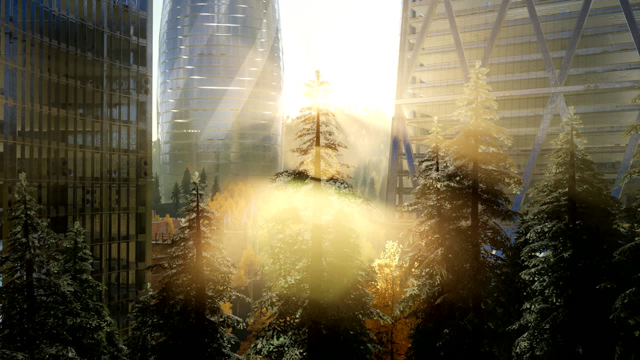 마천루와 해가 지는 곳