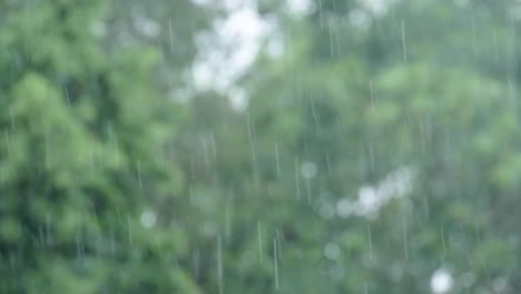 heavy rain in front of a blurry background with bokeh