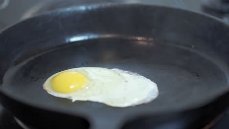 closeup of egg dropping into black cast iron skillet