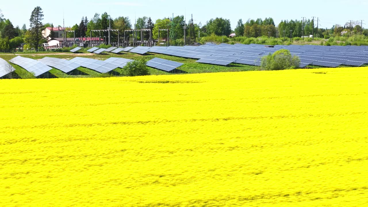Rapeseed field surrounds solar panels in bright yellow bloom, drone overview from above